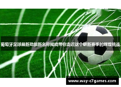 葡萄牙足球最新劲旅新名称揭晓带你走近这个崭新赛季的辉煌挑战