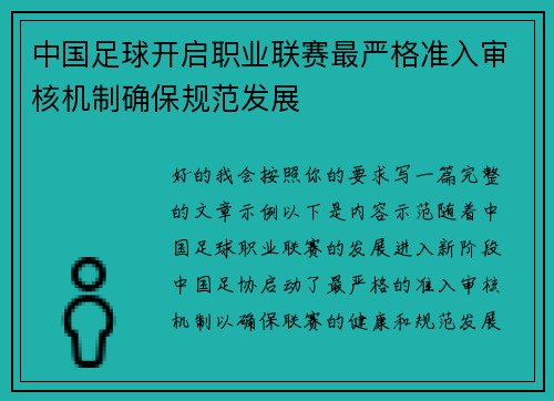 中国足球开启职业联赛最严格准入审核机制确保规范发展